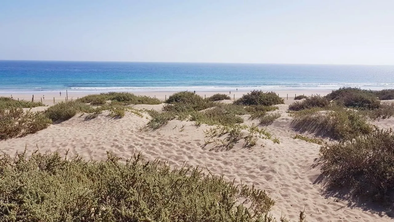 Apartamento Acogedor Apartamento Puerto del Rosario   Puerto del Rosario (Fuerteventura)